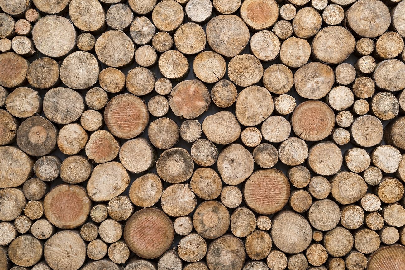 Wood log pattern background, close