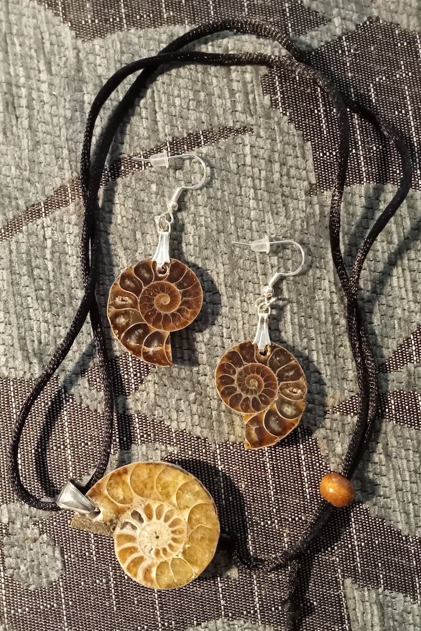a necklace and earrings in the shape of snail shells