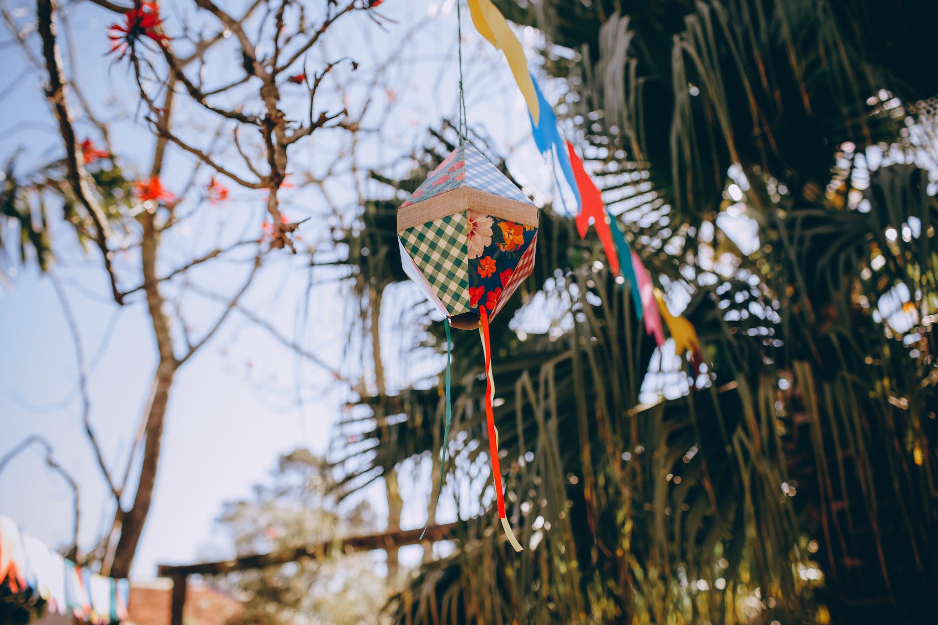 handmade paper lantern hanging on tree