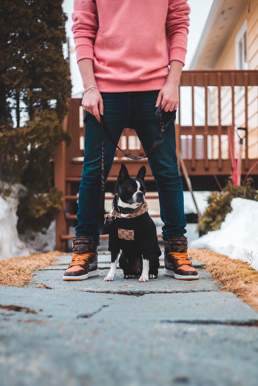 man in pink long sleeve shirt and denim pants holding black and white short coat dog