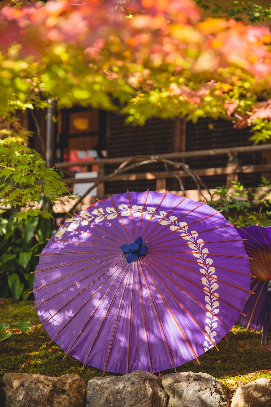 asian female umbrellas in garden