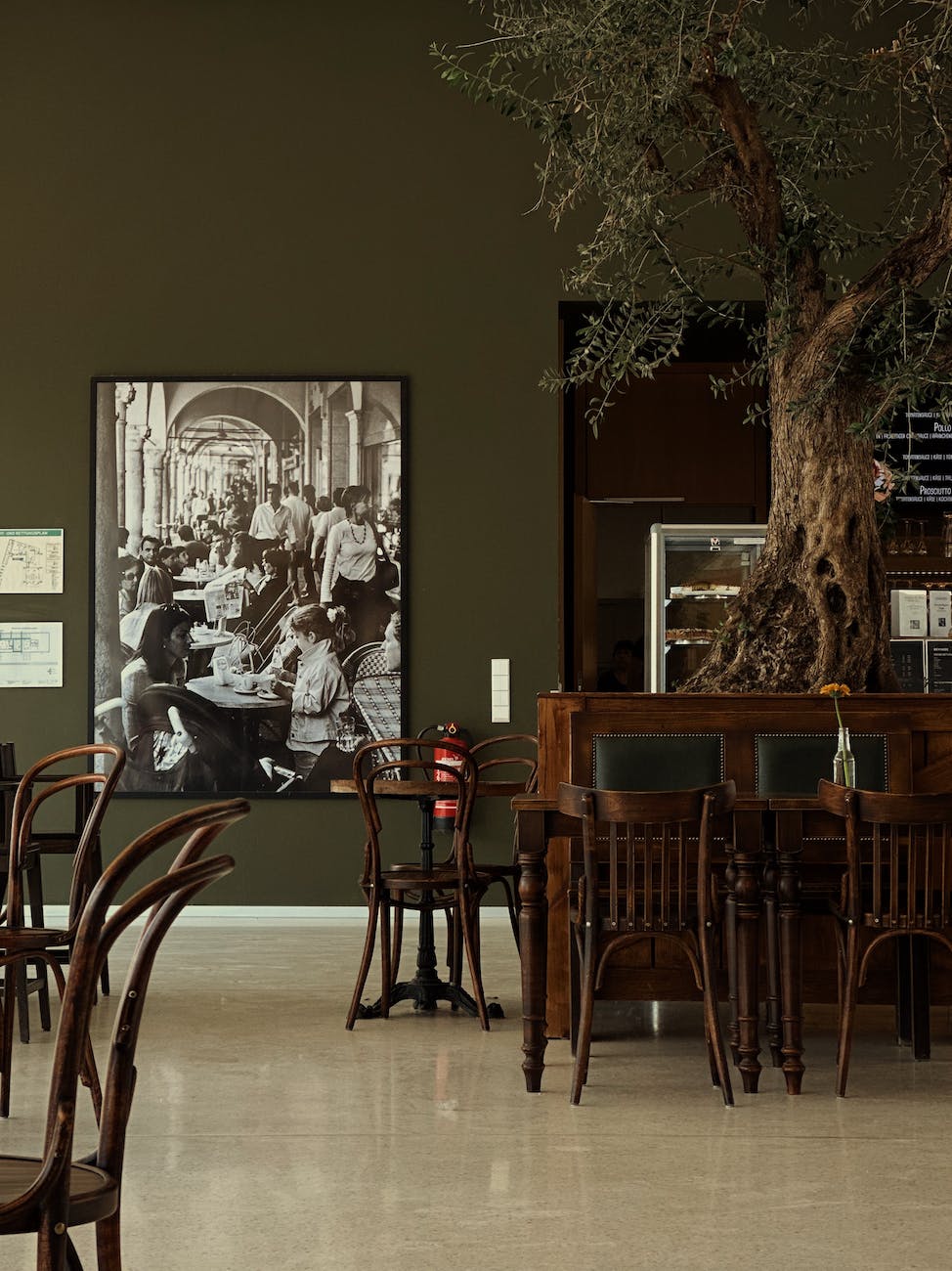 a restaurant room with a bonsai tree