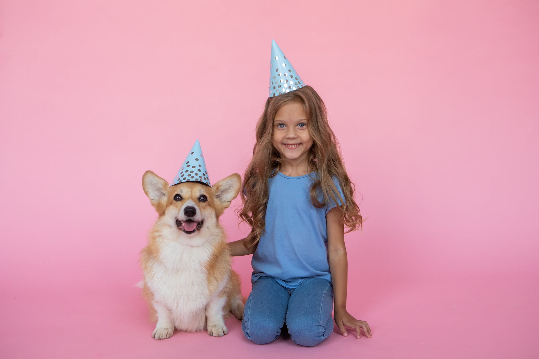 little girl and a corgi dog in birthday caps