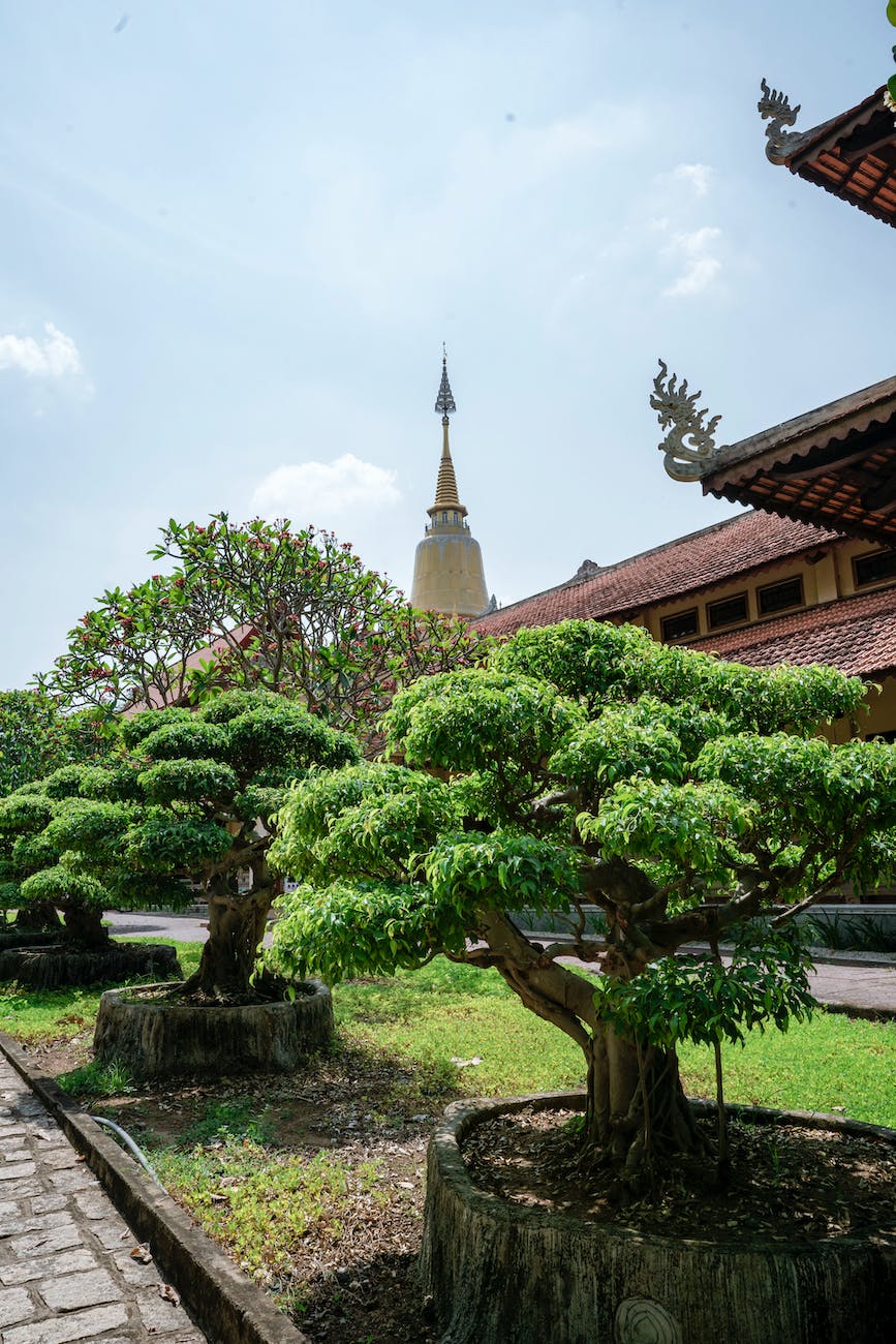 bonsai trees in front of a temple